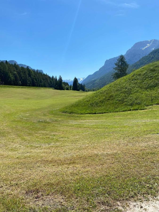 Haus Alpenrose Apartment Waidring Bagian luar foto