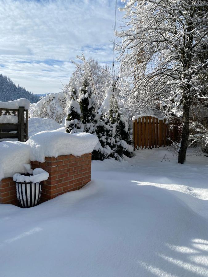 Haus Alpenrose Apartment Waidring Bagian luar foto